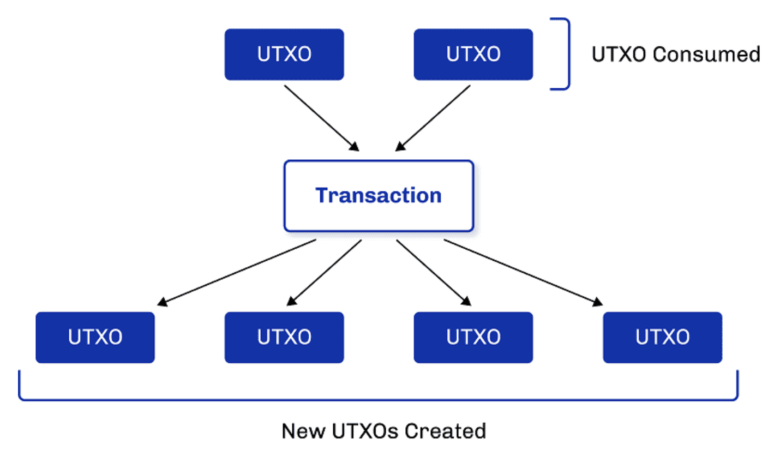 The Difference between UTXO and Smart Contract Platform in Blockchain Data
